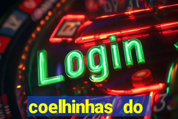 coelhinhas do brasil recife